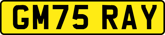 GM75RAY