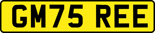 GM75REE