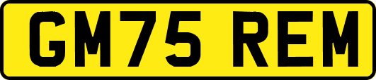 GM75REM