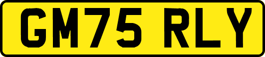 GM75RLY