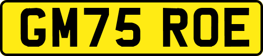 GM75ROE