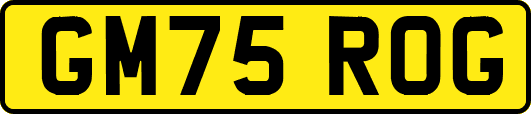 GM75ROG