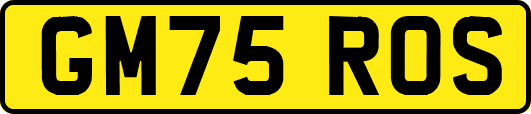 GM75ROS