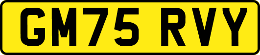 GM75RVY