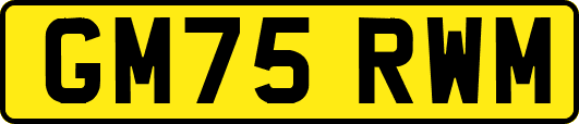 GM75RWM