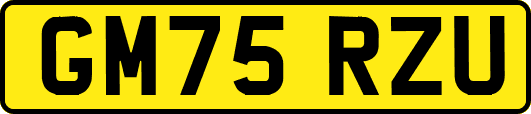 GM75RZU