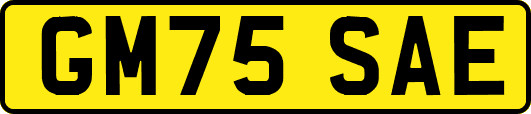 GM75SAE