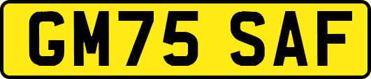 GM75SAF