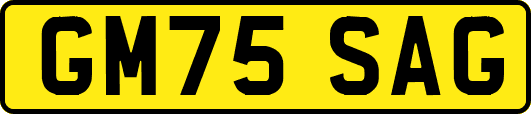 GM75SAG