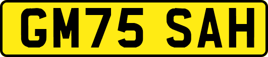 GM75SAH