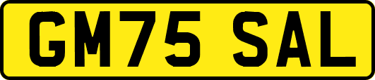 GM75SAL
