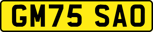 GM75SAO