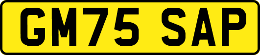 GM75SAP
