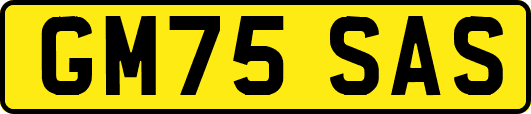 GM75SAS