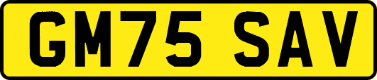 GM75SAV