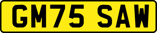 GM75SAW