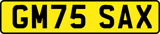 GM75SAX
