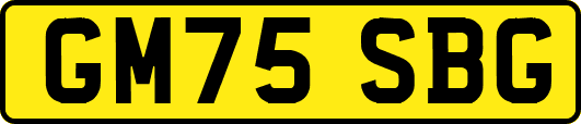 GM75SBG