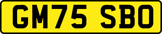GM75SBO