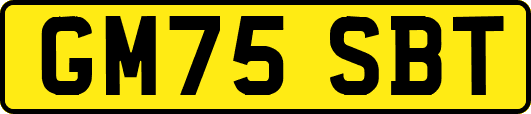 GM75SBT