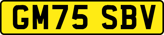 GM75SBV