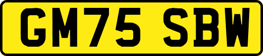 GM75SBW