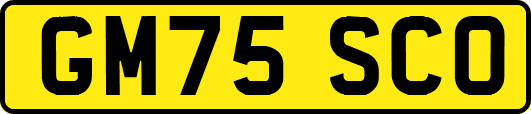 GM75SCO