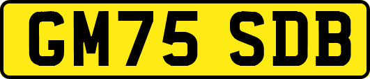GM75SDB