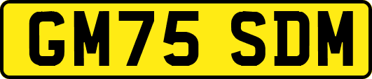 GM75SDM