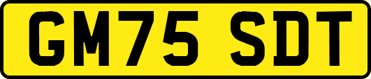 GM75SDT