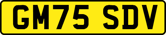 GM75SDV