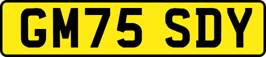 GM75SDY