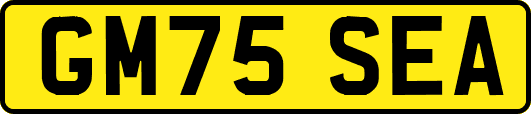 GM75SEA