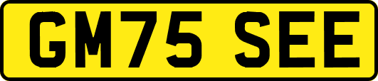GM75SEE