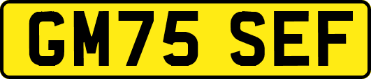 GM75SEF