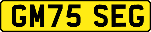 GM75SEG