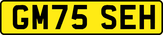 GM75SEH