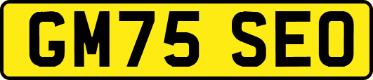 GM75SEO