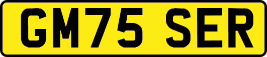 GM75SER