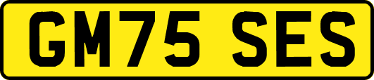 GM75SES