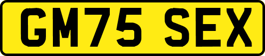 GM75SEX