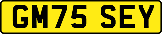 GM75SEY