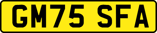 GM75SFA