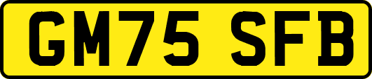 GM75SFB