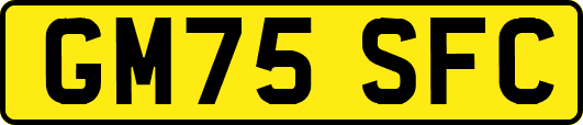 GM75SFC