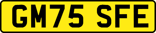 GM75SFE