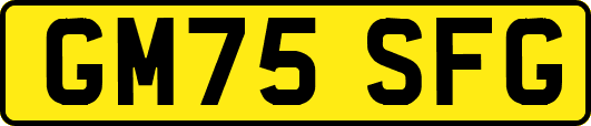 GM75SFG