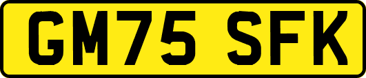 GM75SFK
