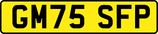 GM75SFP