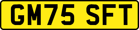 GM75SFT